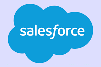 be your certified salesforce developer and consultant