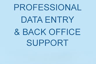 accurate data entry, excel, admin and accounting support