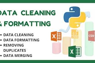 professionally clean and format your data