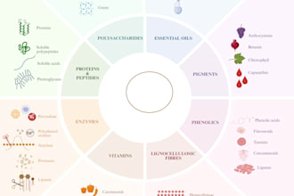 design your scientific figure and graphical abstract on biorender