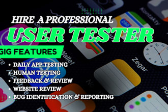 perform professional manual QA, website testing, game test and UX audit for bugs