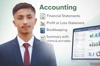 create professional financial reporting, bookkeeping and statements