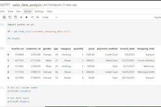 perform professional data analysis in python