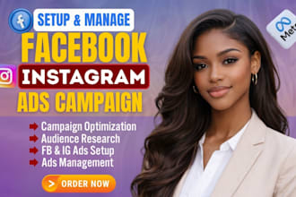 setup shopify facebook ads campaign, meta ads, instagram ads and fb advertising