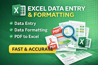 do expert ms excel data entry and data formatting cleanup