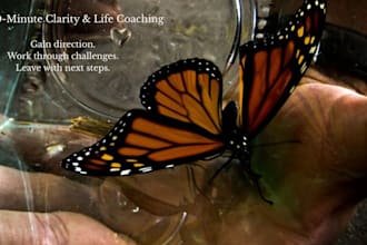 provide a 30 minute life coaching phone session