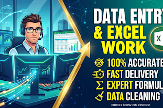 expert data entry work
