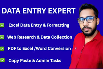 do professional data entry and excel data cleaning work