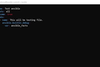 do your rhce lab with container or without container