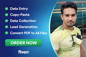 do data entry, copy paste, lead generation, pdf conversion virtual assistant