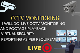 provide professional remote cctv monitroing and surveillance