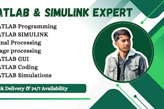 do professional matlab, simulink, gui and image processing