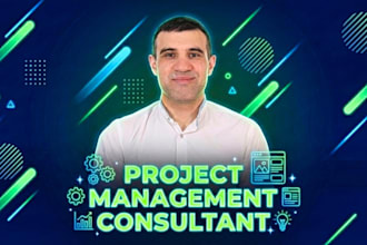 project management consulting for strategy, delivery and operations