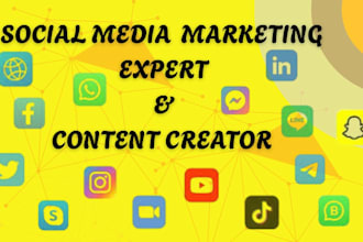 be your social media marketing manager, facebook and instagram  content creator