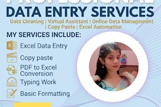 do fast and accurate data entry PDF to excel expert