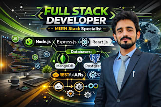 develop professional mern stack sites and custom web apps