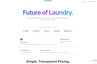 build a professional laundry business custom coded website