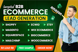 provide b2b ecommerce leads, etsy, amazon sellers,and shopify store owners leads