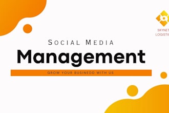 manage your instagram and facebook as a social media VA