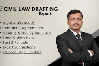 provide expert civil law drafting, contracts and legal document support