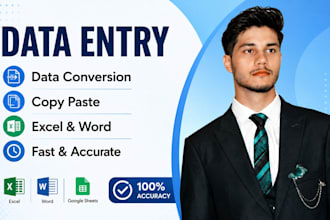 do professional data entry data conversion and copy paste