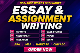 do essay writing assigments research and summaries in 24 hours