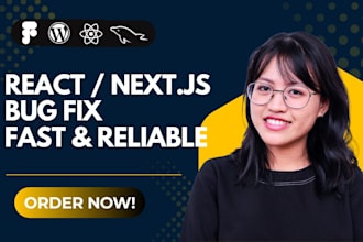 fix bugs and improve UI in react or nextjs website