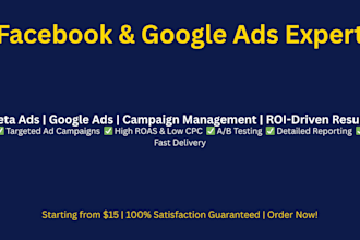 setup facebook instagram meta ads and google ads campaign, fb advertising expert