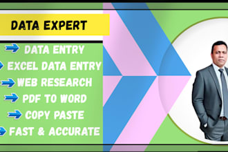 do fast and accurate data entry, excel and pdf work