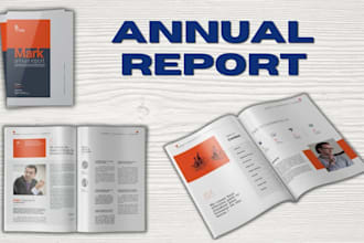 do professional annual report design, annual report layout