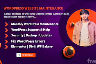 provide wordpress website maintenance wordpress support and help