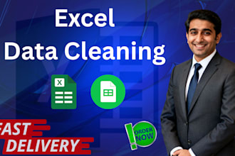 do excel data cleaning, sorting, formatting and spreadsheet cleanup