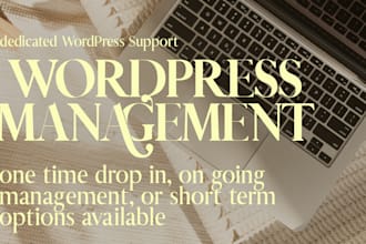 be your dedicated wordpress site manager