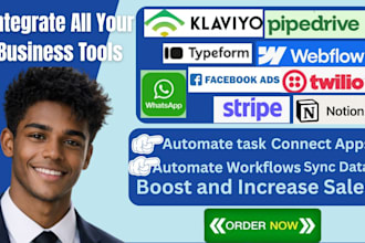 integrate facebook ads webflow typeform notion klaviyo pipedrive stripe whatsapp