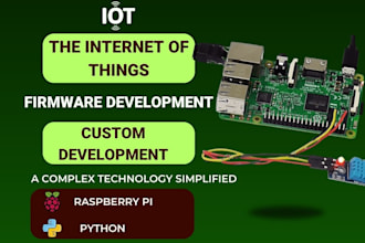 develop your embedded projects using stm32, raspberry pi