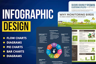 design professional infographic, data visualization, flow charts and diagrams