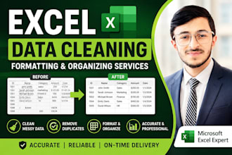 clean, format, and organize excel data and spreadsheet