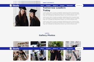 build modern saas landing page, dashboard, portfolio and modern web interfaces