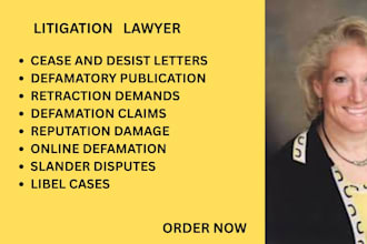 expertly handle defamatory publication, libel, slander and reputation disputes