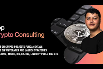 guide your crypto or blockchain project with expert consultation