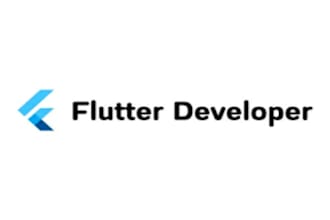 fix any flutter bug or error professionally