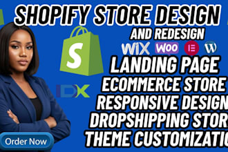 build a professional shopify dropshipping store, website