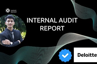 do internal audit with detailed findings