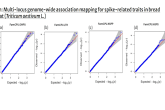 do gwas analysis and statistical analysis using r