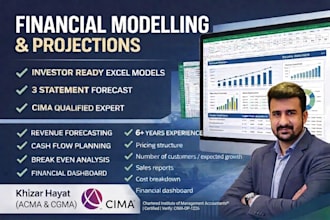 build professional financial model, projections, forecast and business plans