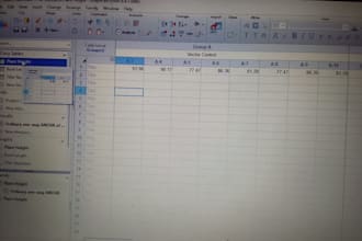 do typing, retyping and writing of documents