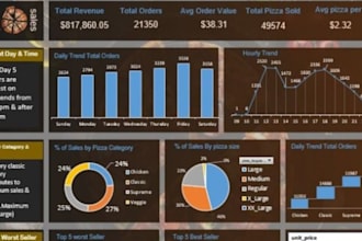 provide professional data analysis and business insights