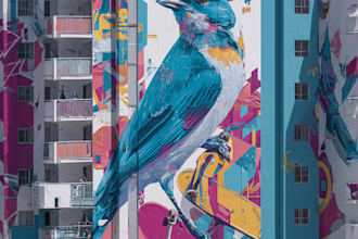 create mural, doodle art, graffiti, wall art, digital ill