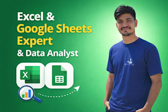 be your excel and google sheets expert and data analyst