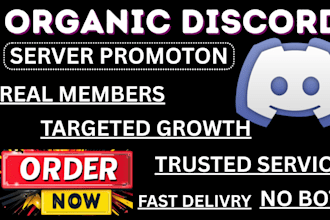 discord promotion, server promotion, discord growth, minecraft server growth